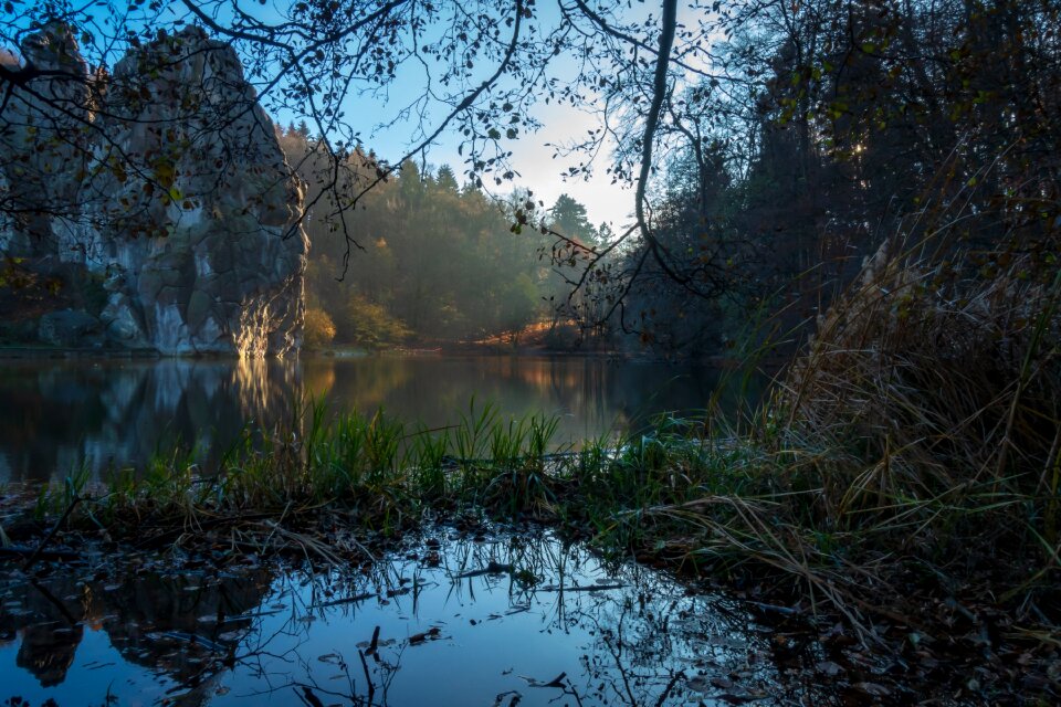 Rock forest landscape