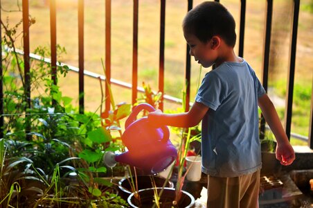 Planting garden water