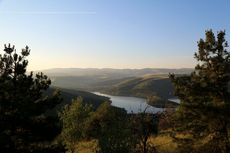 Tree landscape ankara