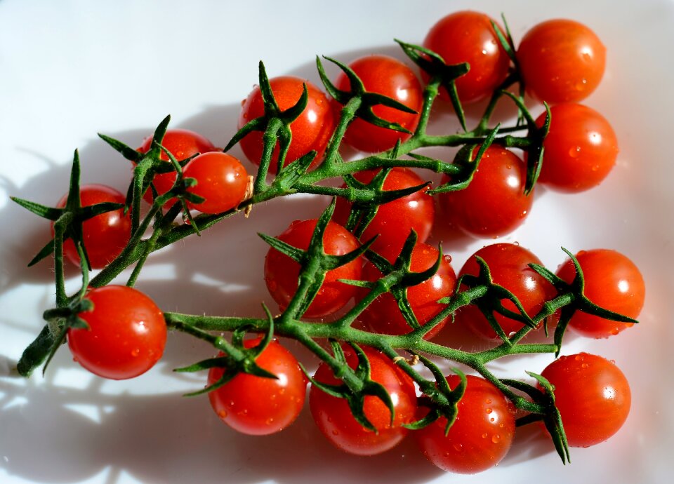 Healthy fresh trusses