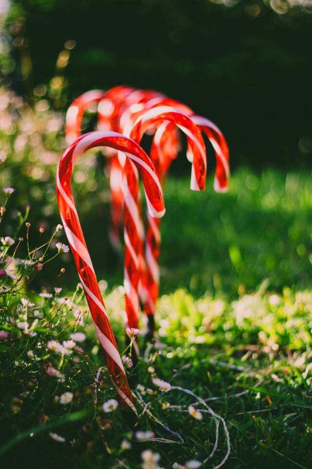 Decoration outside xmas