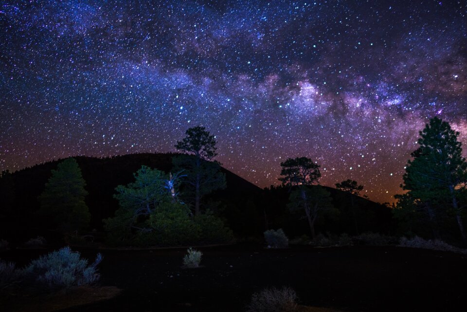 Sky outdoors trees