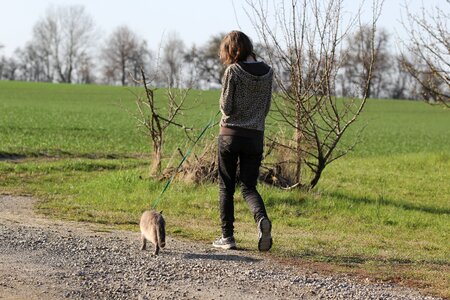 Nature spring animal relationship