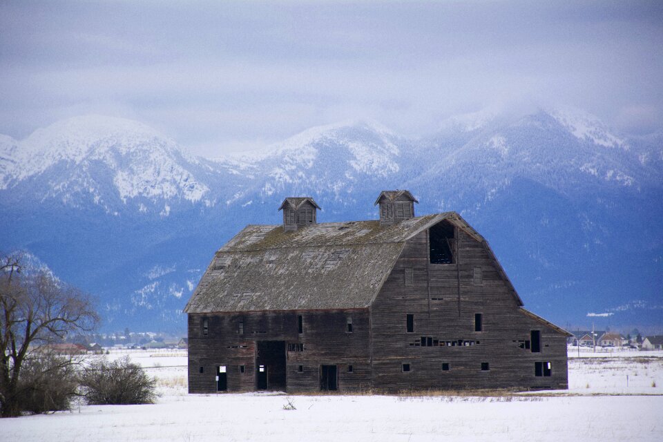 Old wood farm