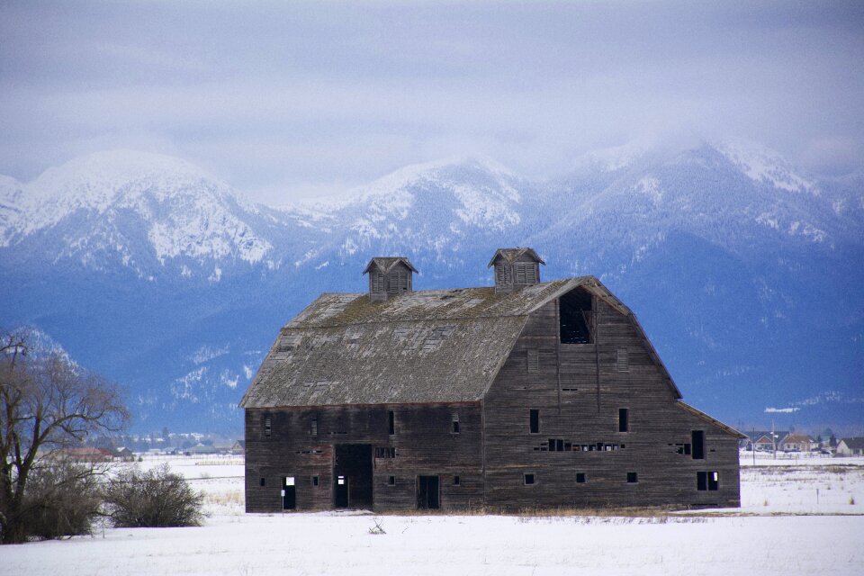 Old wood farm photo