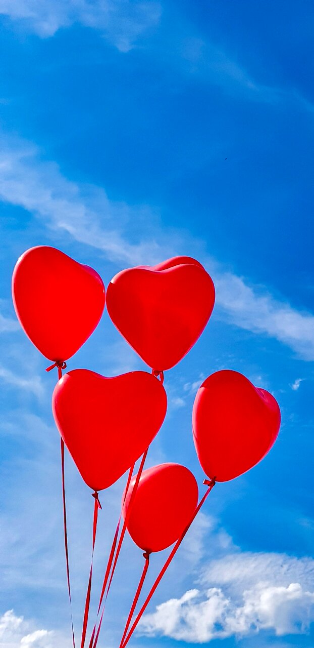 Sky veloben fall in love