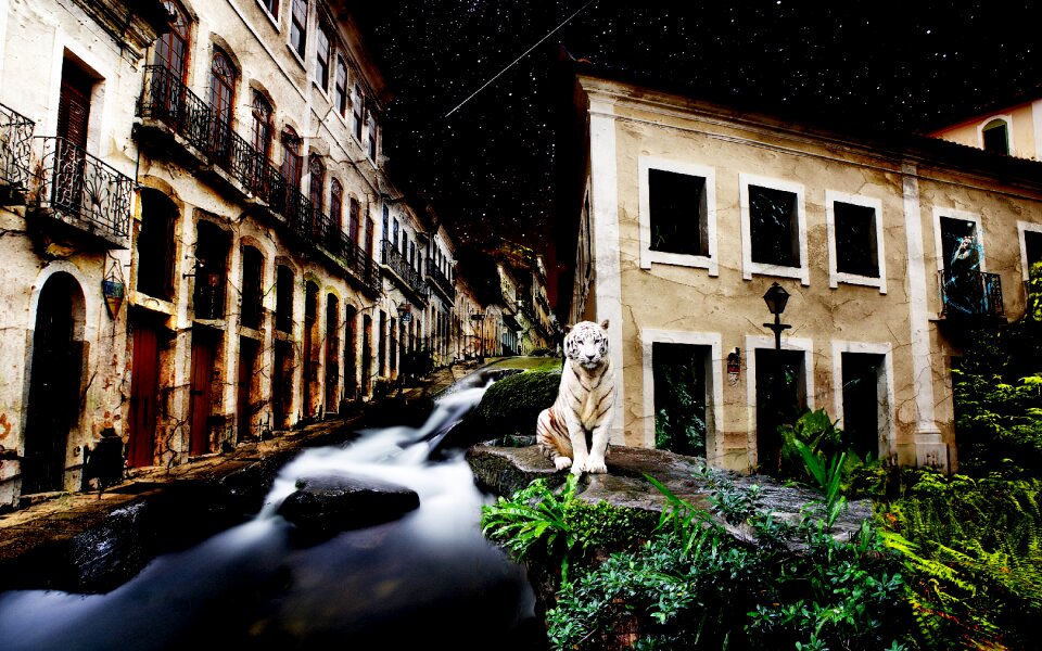 House outdoor street
