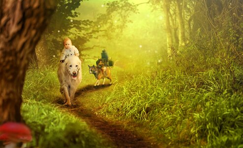 Cat fantasy ride