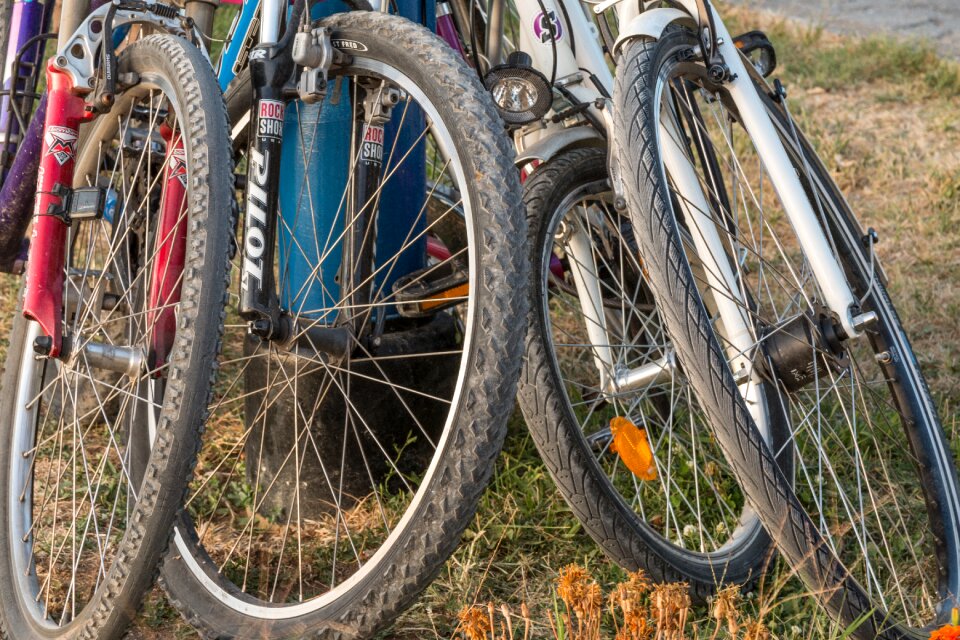Summer cycling nature