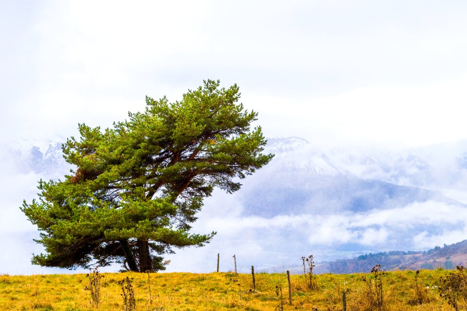 Landscape sky prairie