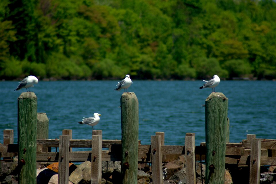 Lake superior lake harbour
