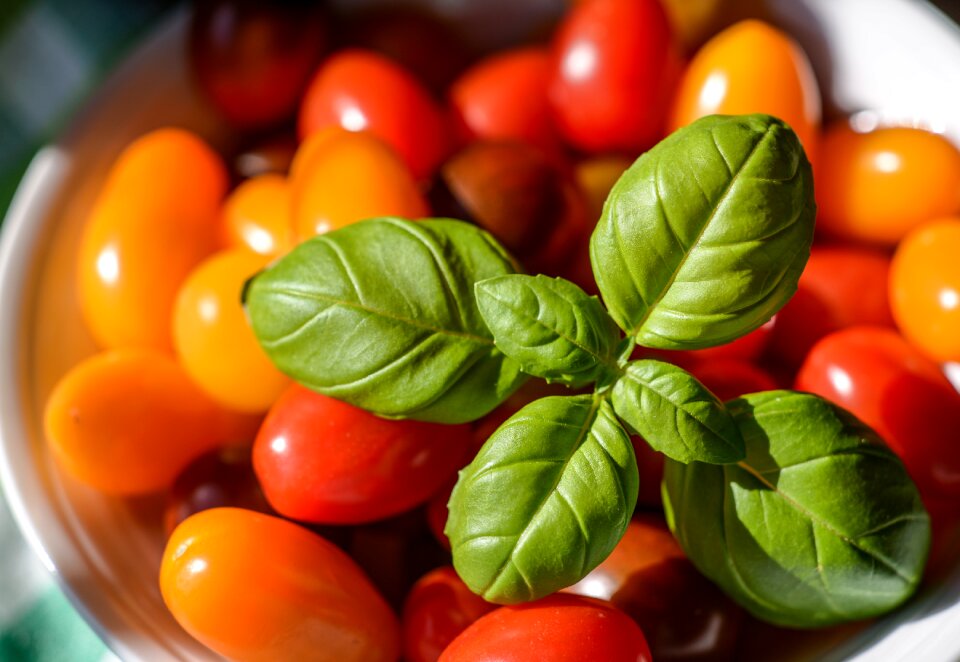 Tomato fresh vegetable