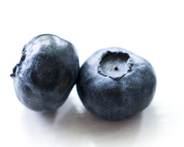 Berries blue berry