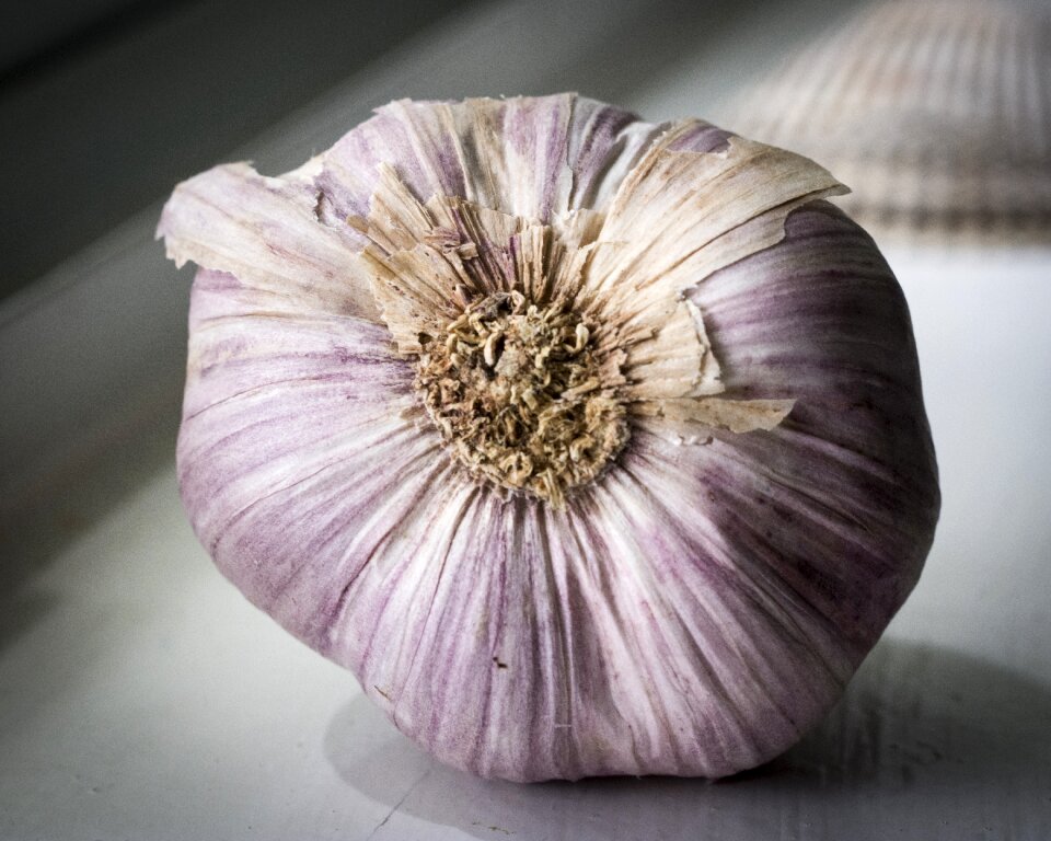 Garlic bulb food ingredient
