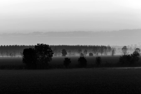 Outdoors nature trees photo