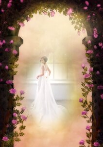 Dreams white romantic