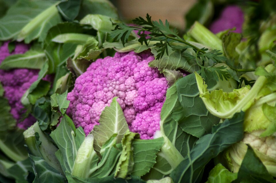 Vegetable garden market
