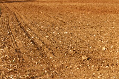 Agriculture dry lines photo