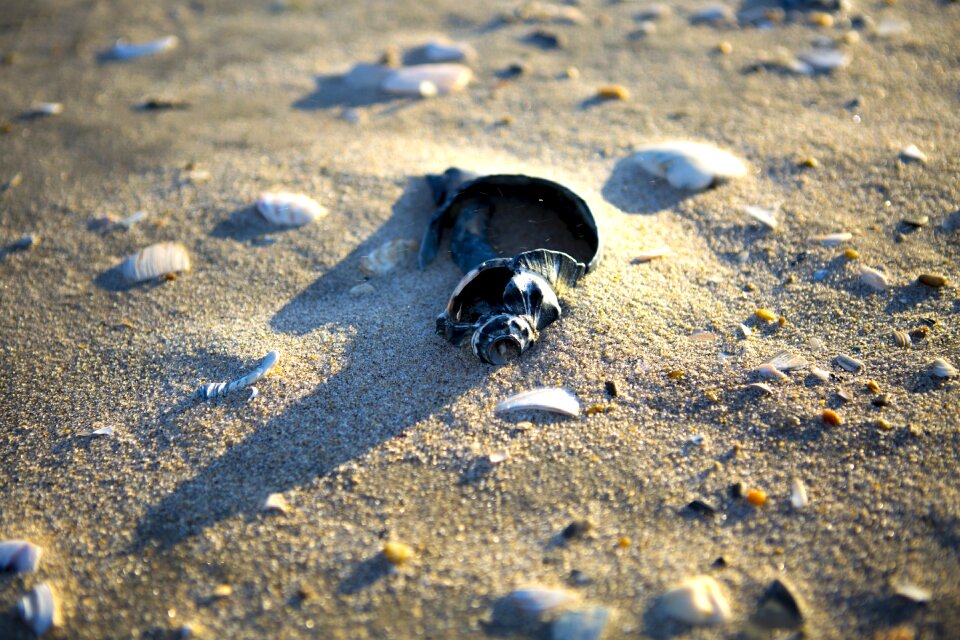 Sea sand wave photo