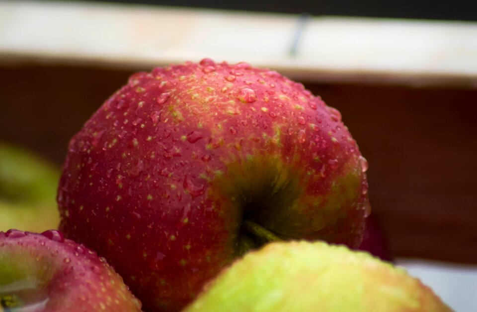 Fruit fall harvest