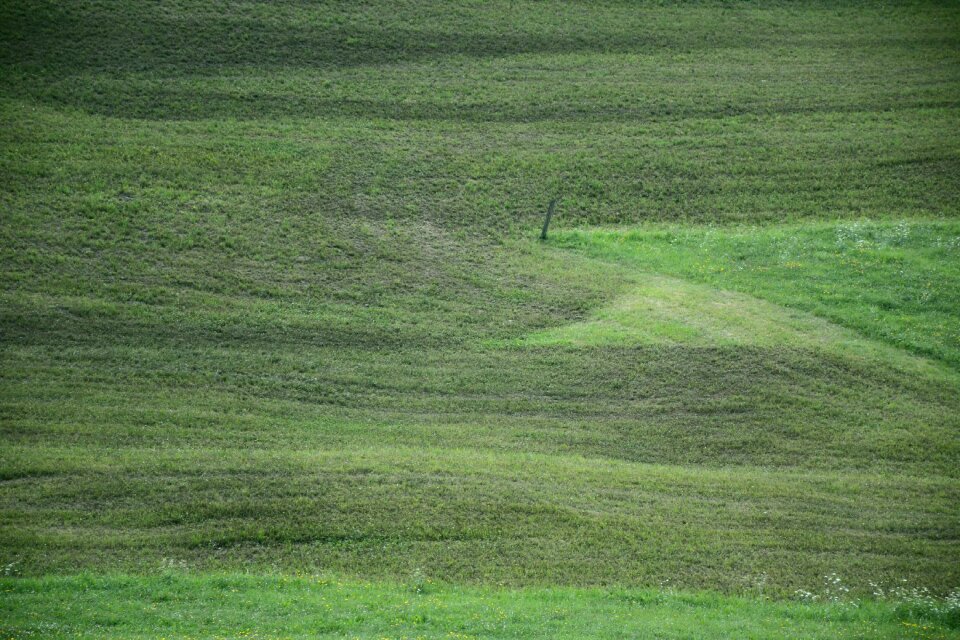 South tyrol velvet green