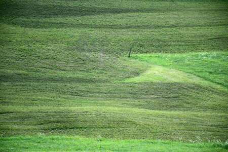 South tyrol velvet green