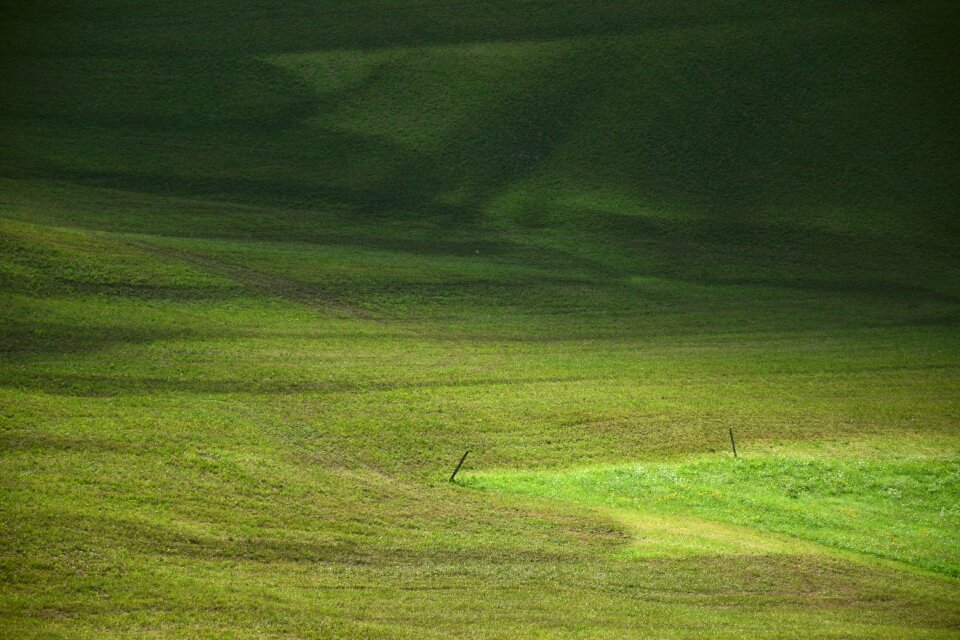 Grass south tyrol velvet