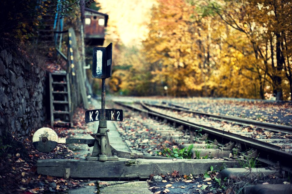 Points leaves railway