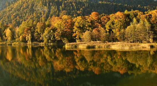 Lake landscape sun photo