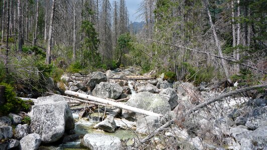 Landscape nature tourism