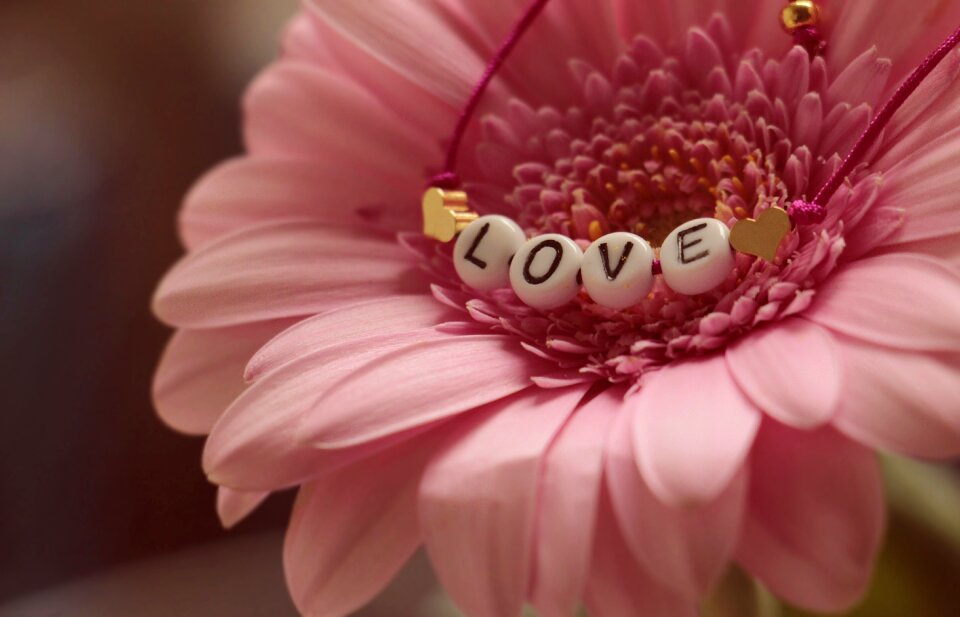 Flower feelings romantic
