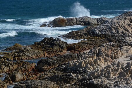 Travel sea rock photo