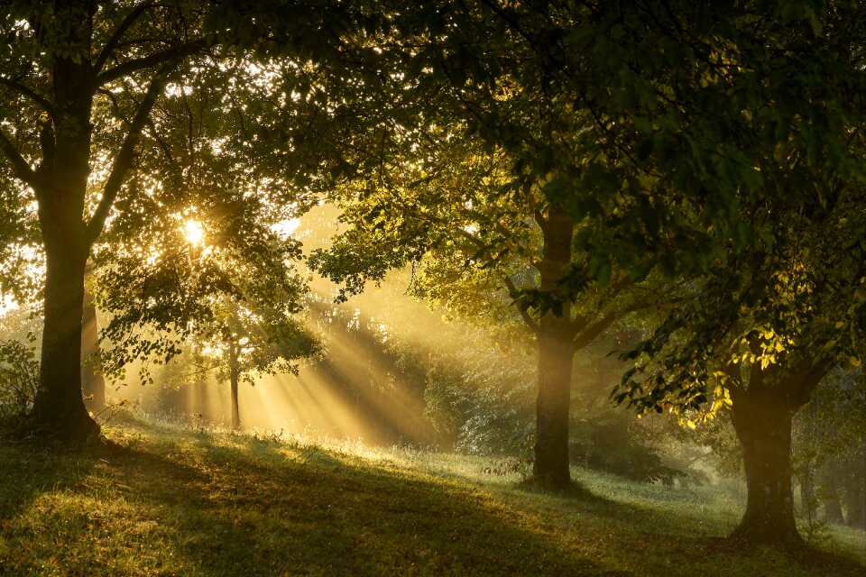 Sunlight mood morgenstimmung