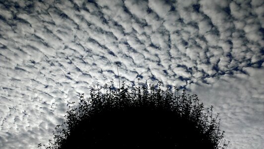 Cottony clouds sky selva marine photo