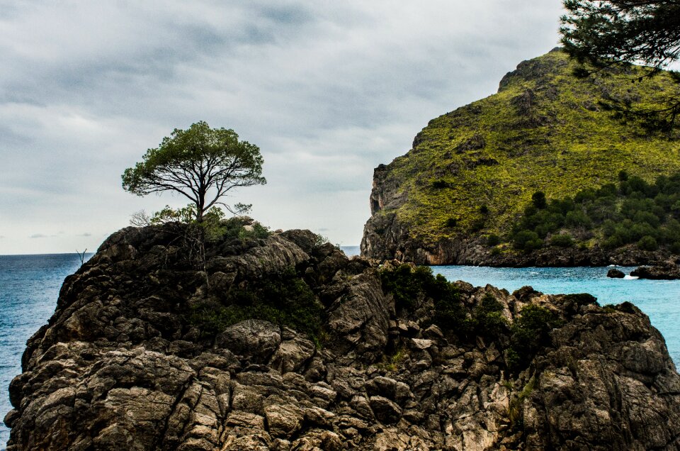 Nature tropical landscape