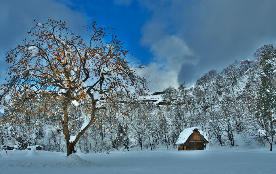 Thatched roof cottages snow the primal scene of japan the