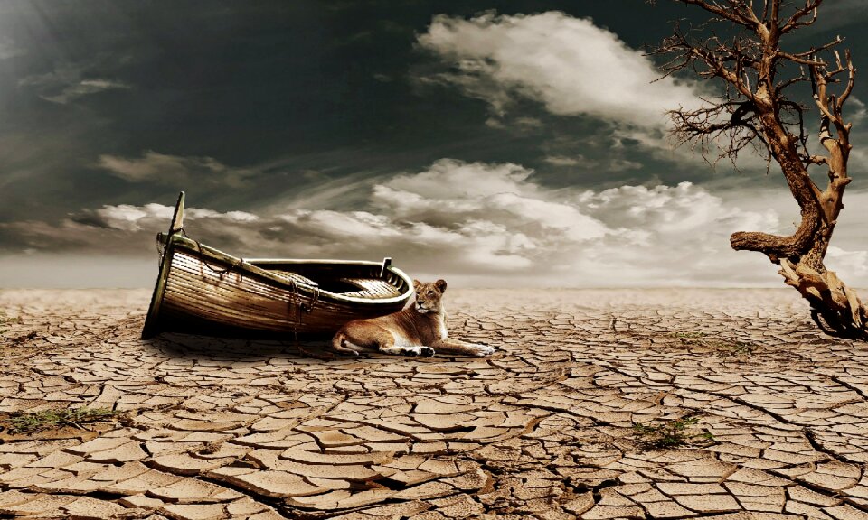Body of water sand sky