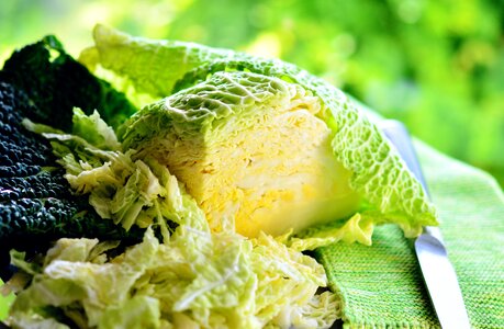 Savoy cabbage head cabbage cabbage photo