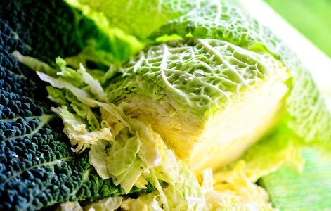 Savoy cabbage head cabbage cabbage