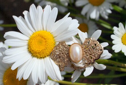 Flower romance object