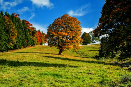 Landscape idyllic mood photo