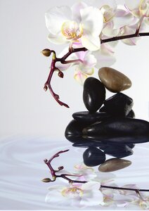 Water stones still life
