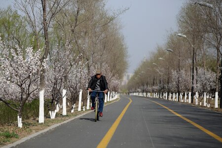 Guide nature path