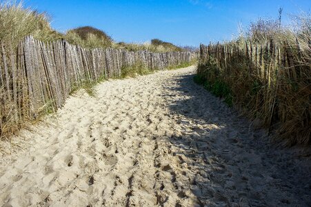 Beach sand dunes heat photo