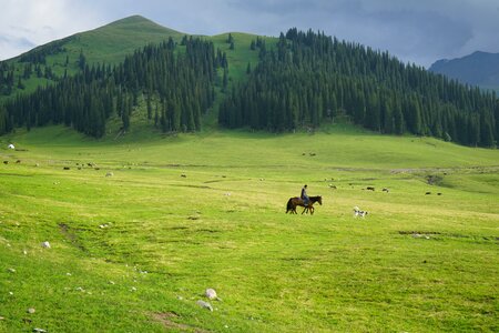 Grassland distant hills horseback riding photo