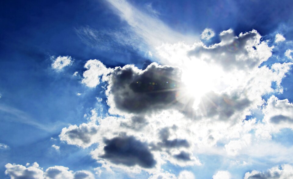 Nature sunlight scene