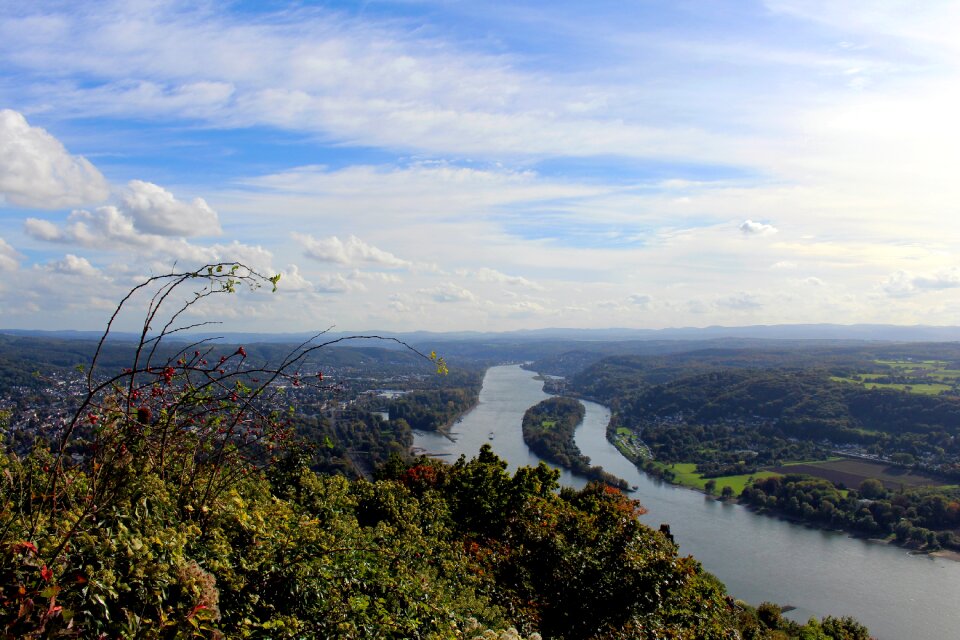 Rhine middle ages bonn