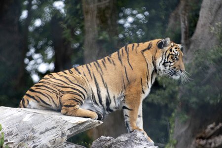 Animal nature park