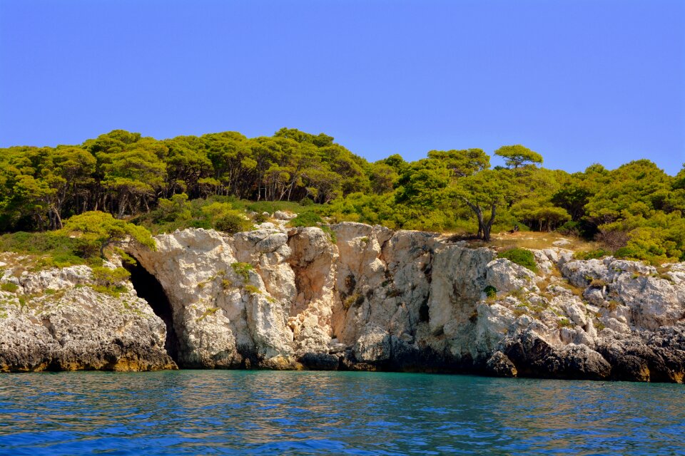 Trees rock forest