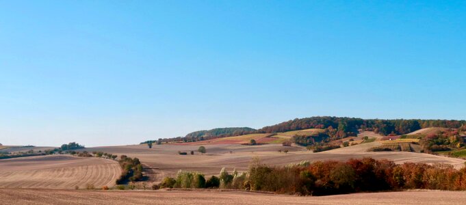 Hilly vineyard arable